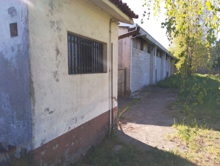 immagine annuncio 2 di 13