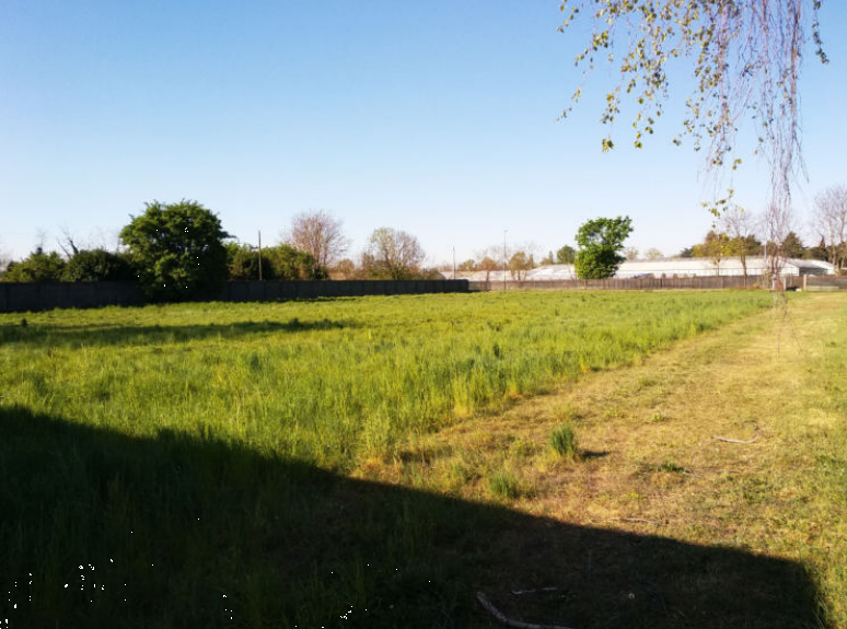 immagine annuncio 3 di 13