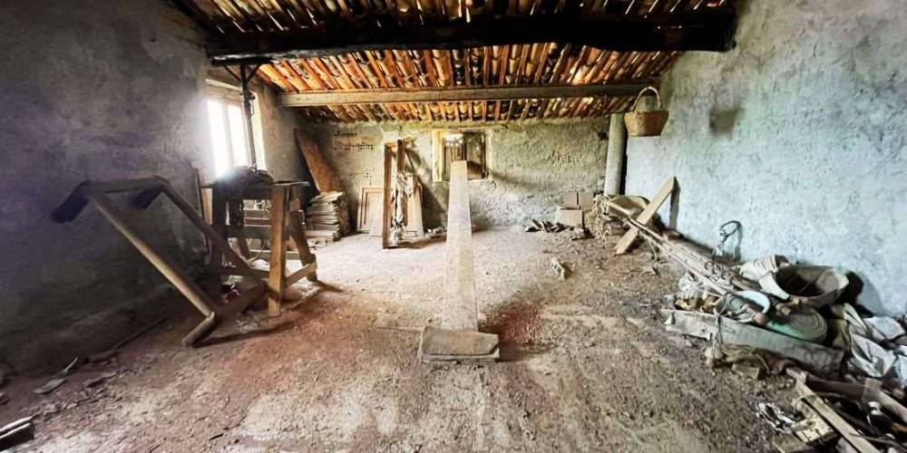 immagine annuncio 12 di 13