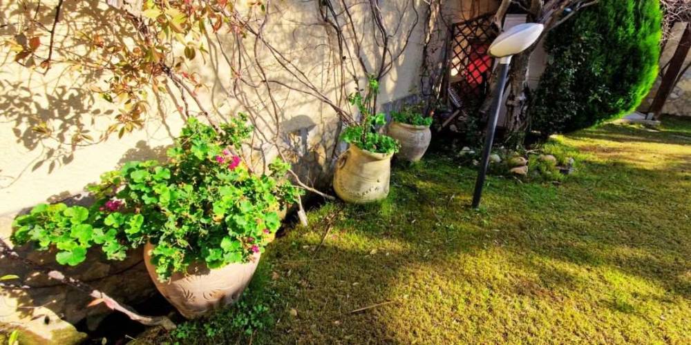 immagine annuncio 5 di 13