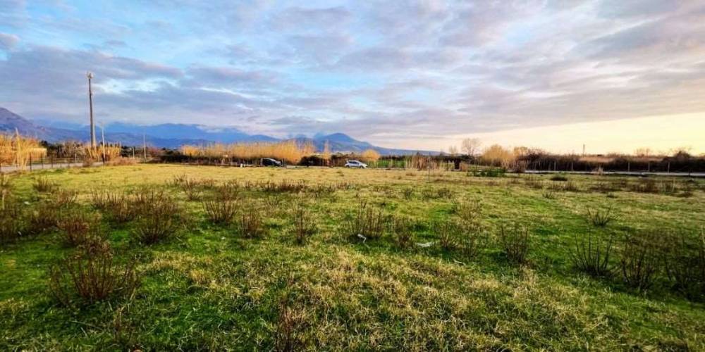 immagine annuncio 3 di 8