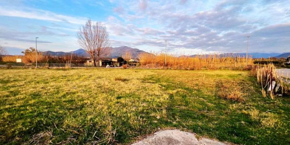 immagine annuncio 4 di 8