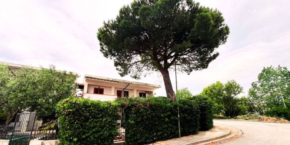 immagine annuncio 10 di 12