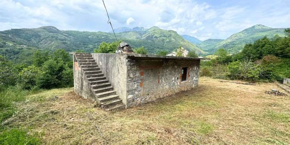 immagine annuncio 1 di 4