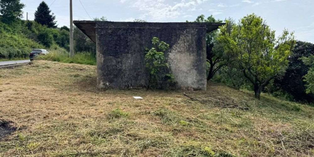 immagine annuncio 2 di 4