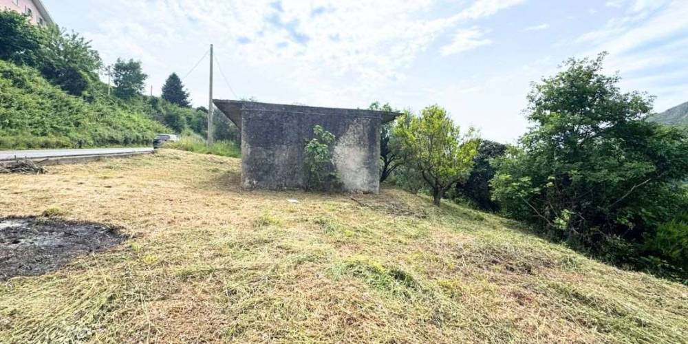 immagine annuncio 3 di 4