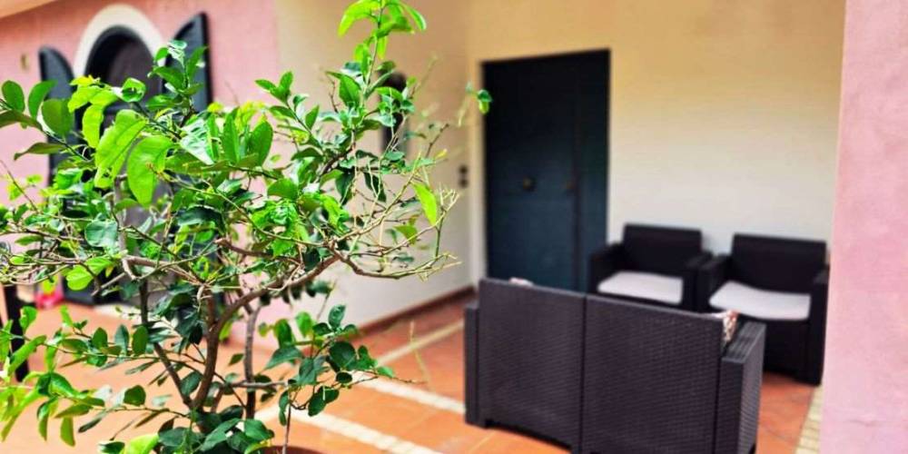 immagine annuncio 10 di 13