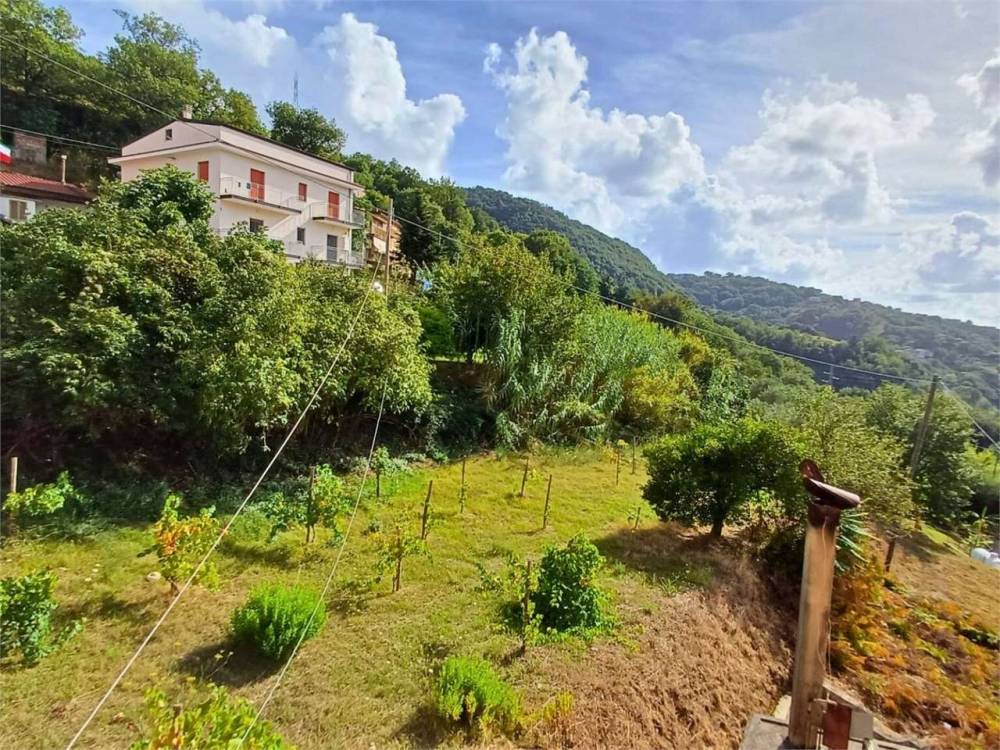 immagine annuncio 7 di 13