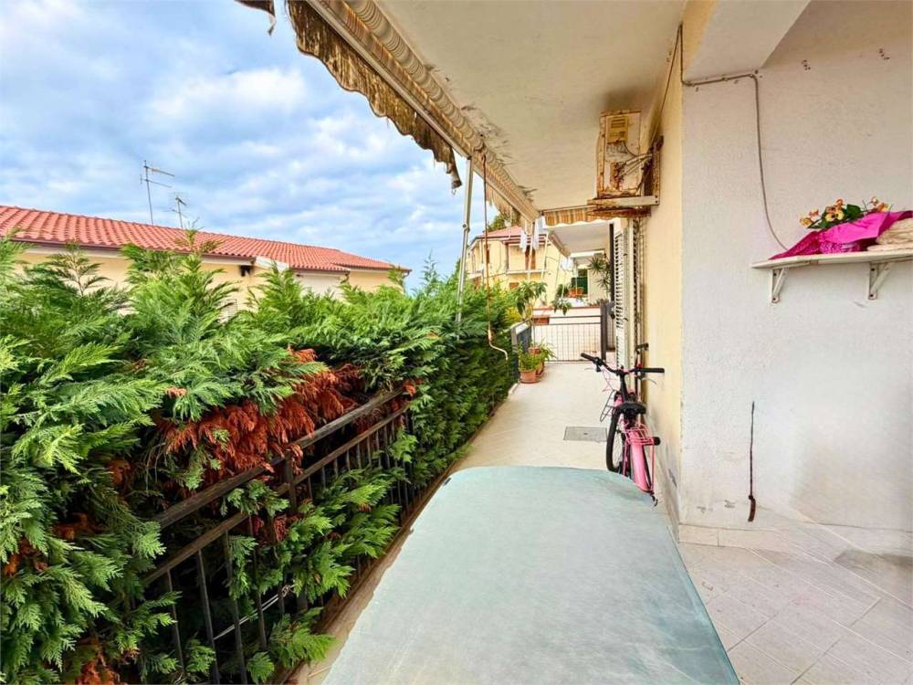 immagine annuncio 5 di 13