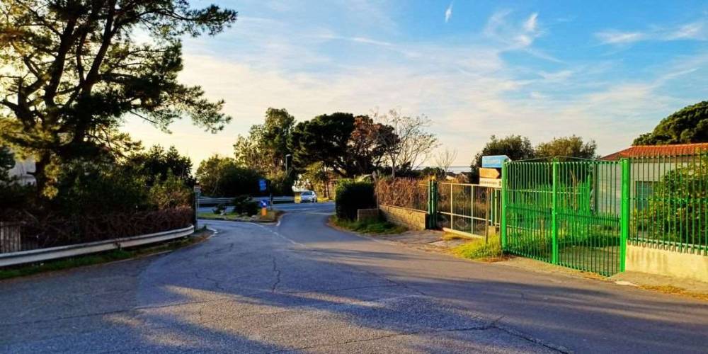 immagine annuncio 4 di 13