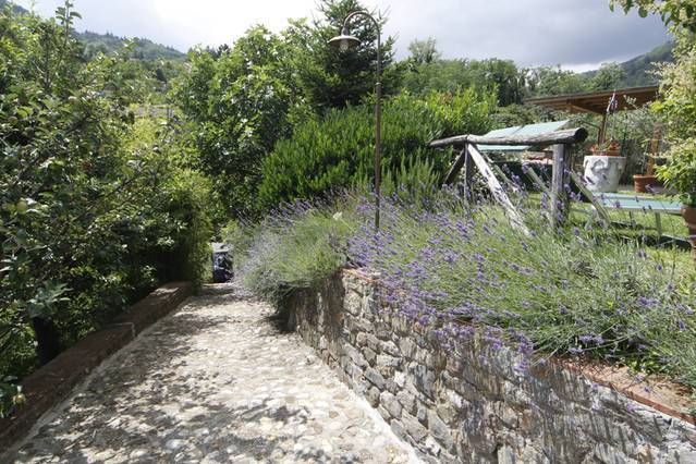 immagine annuncio 1 di 13