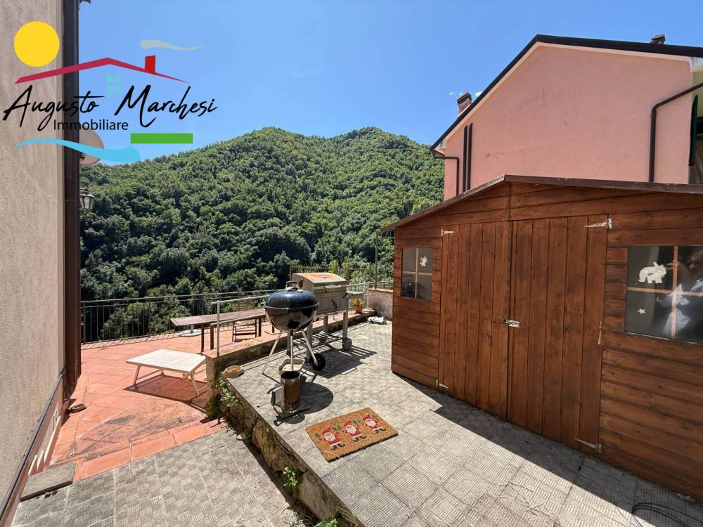 immagine annuncio 1 di 13