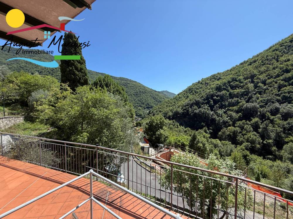 immagine annuncio 4 di 13