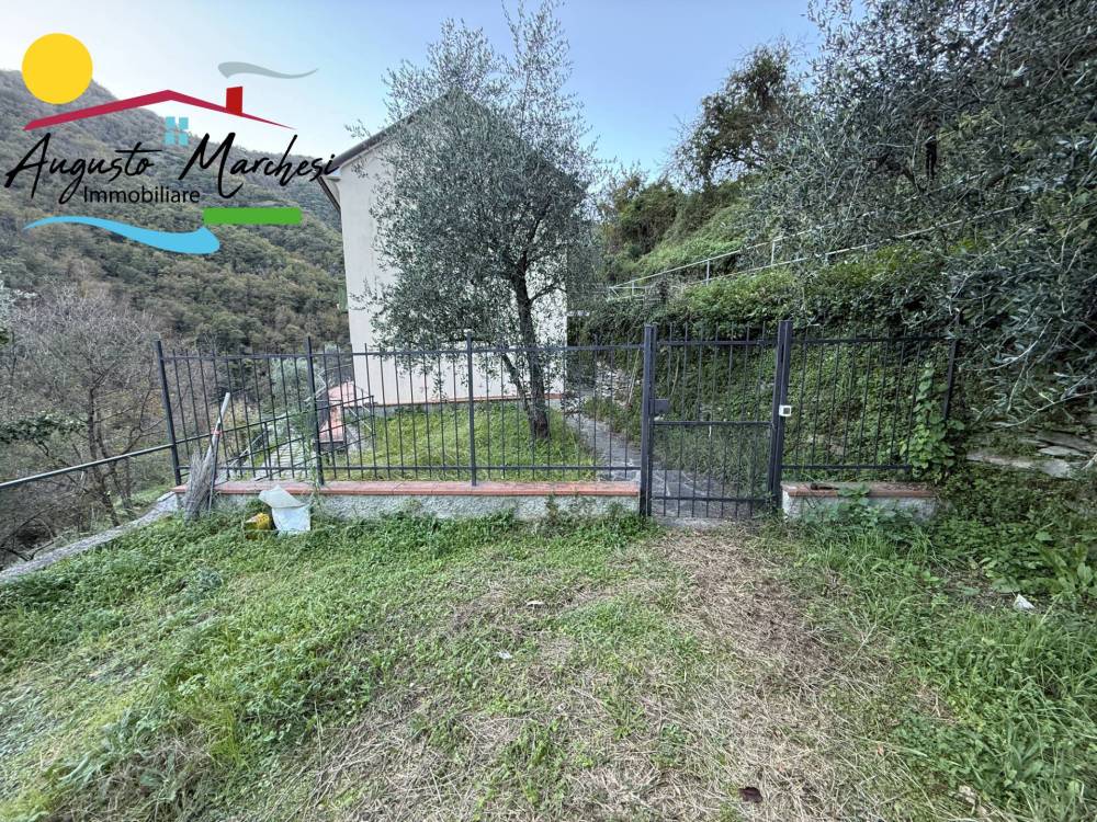 immagine annuncio 7 di 13