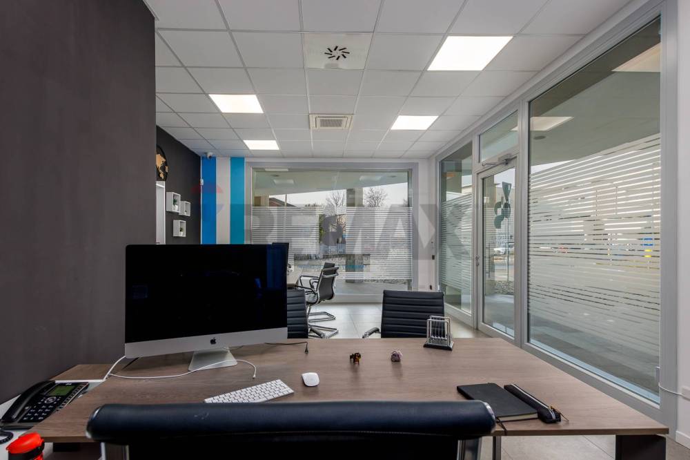 immagine annuncio 3 di 8