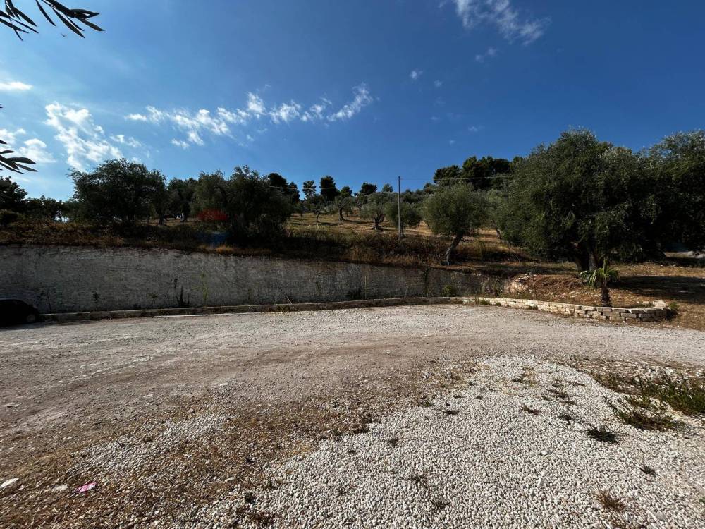 immagine annuncio 4 di 13