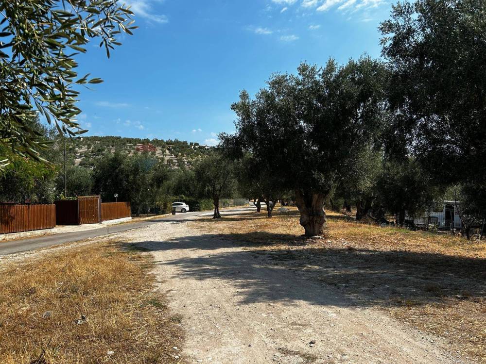 immagine annuncio 7 di 13