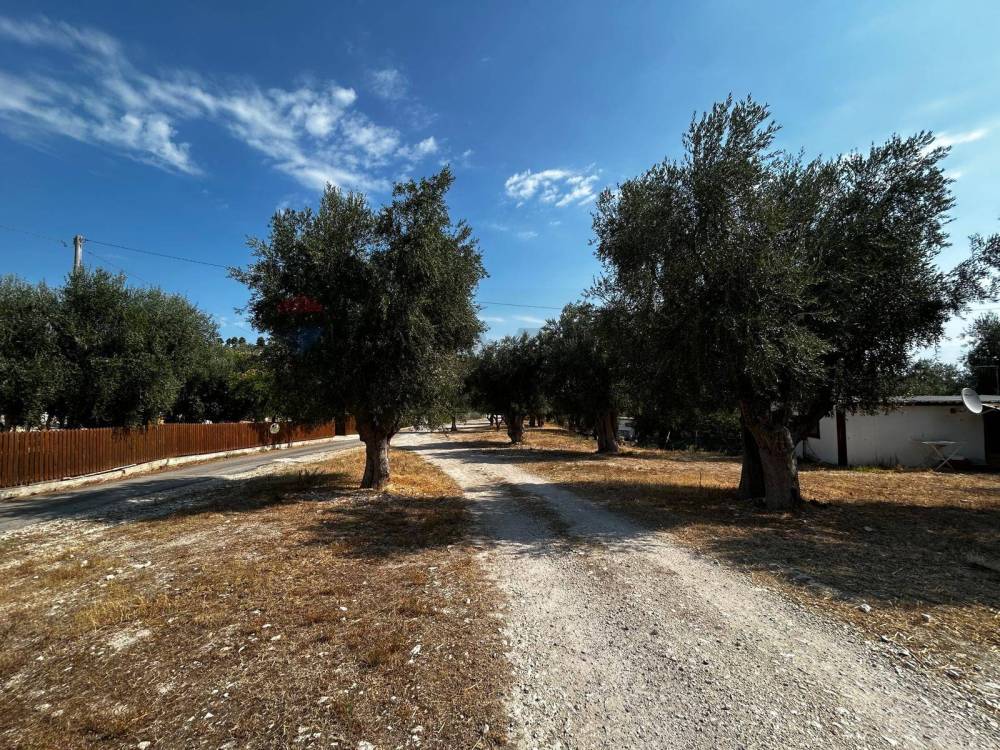 immagine annuncio 10 di 13