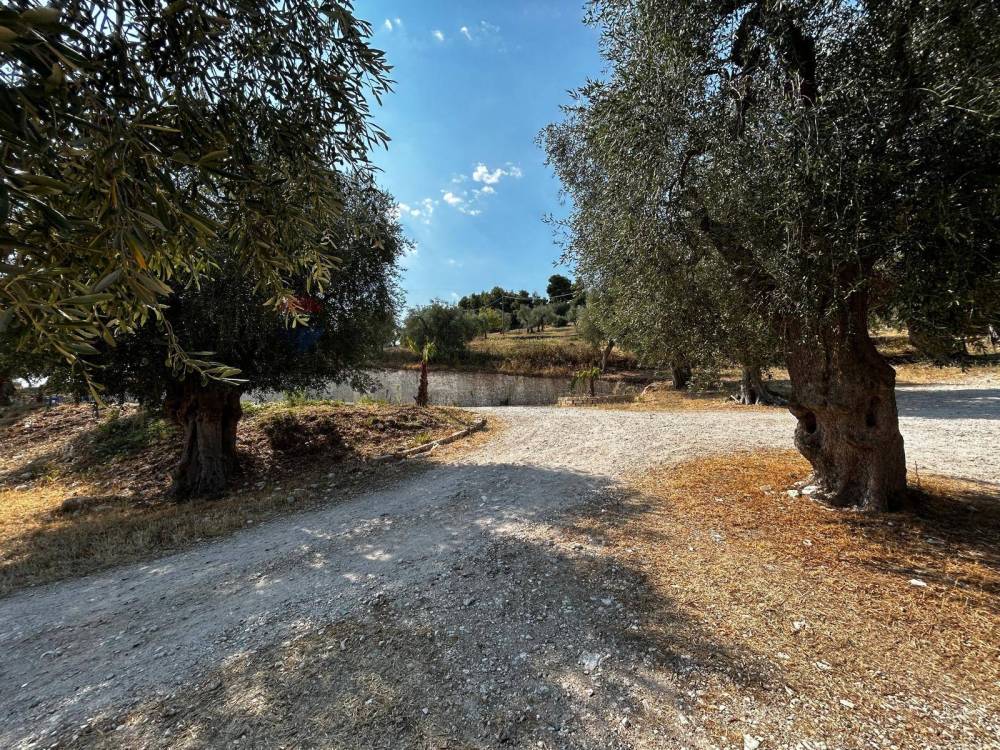 immagine annuncio 11 di 13