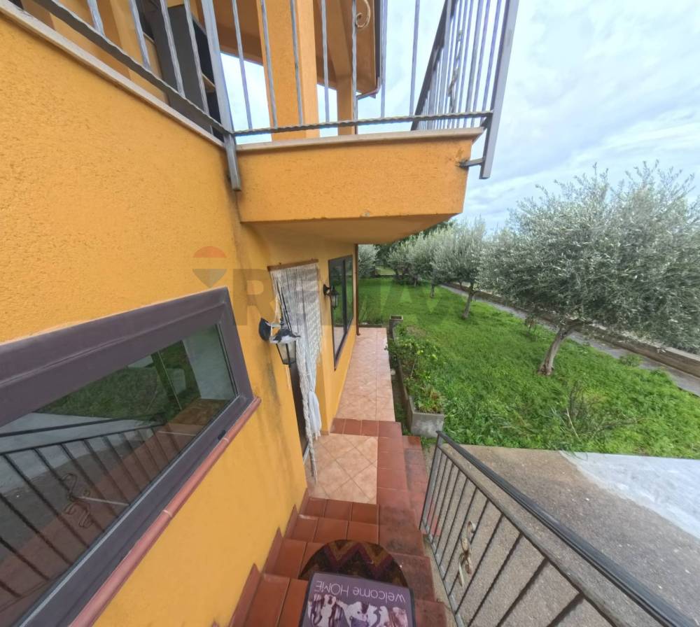 immagine annuncio 7 di 13