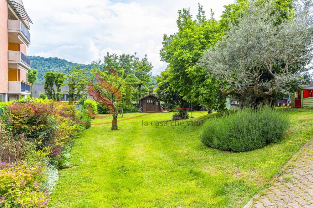 immagine annuncio 10 di 13