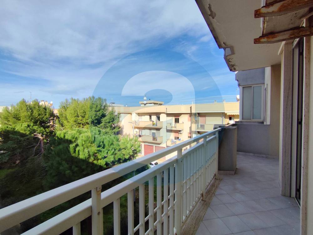 immagine annuncio 11 di 13