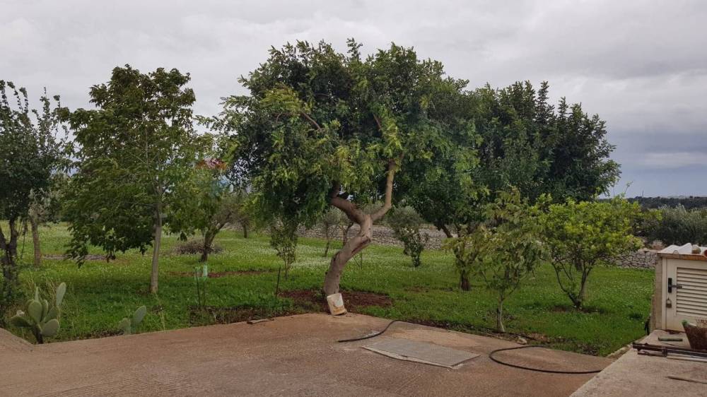 immagine annuncio 7 di 13