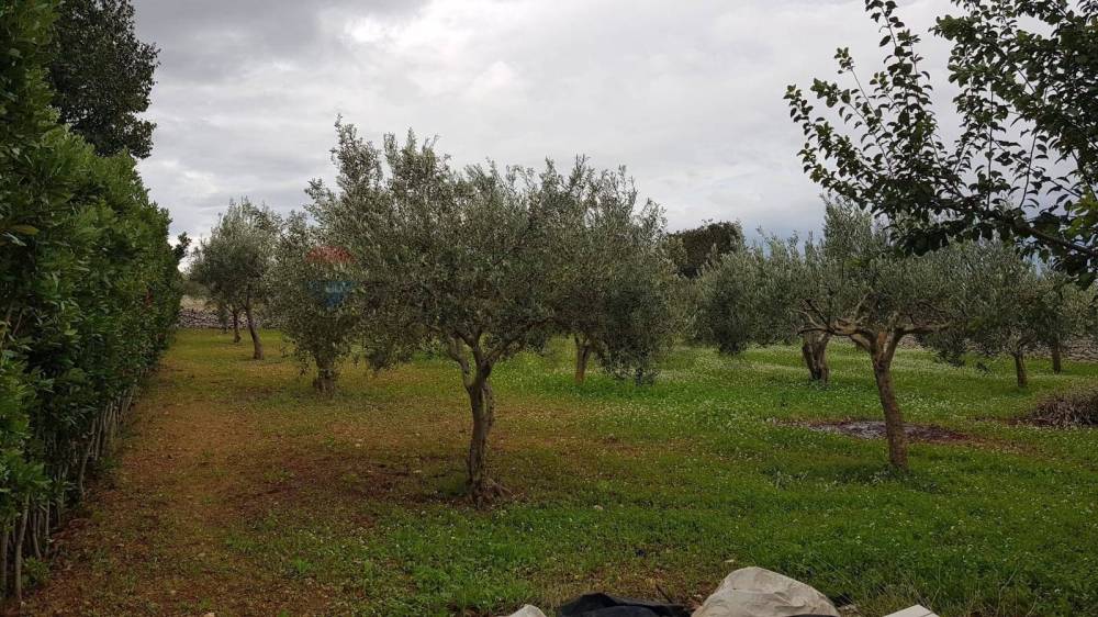 immagine annuncio 4 di 13