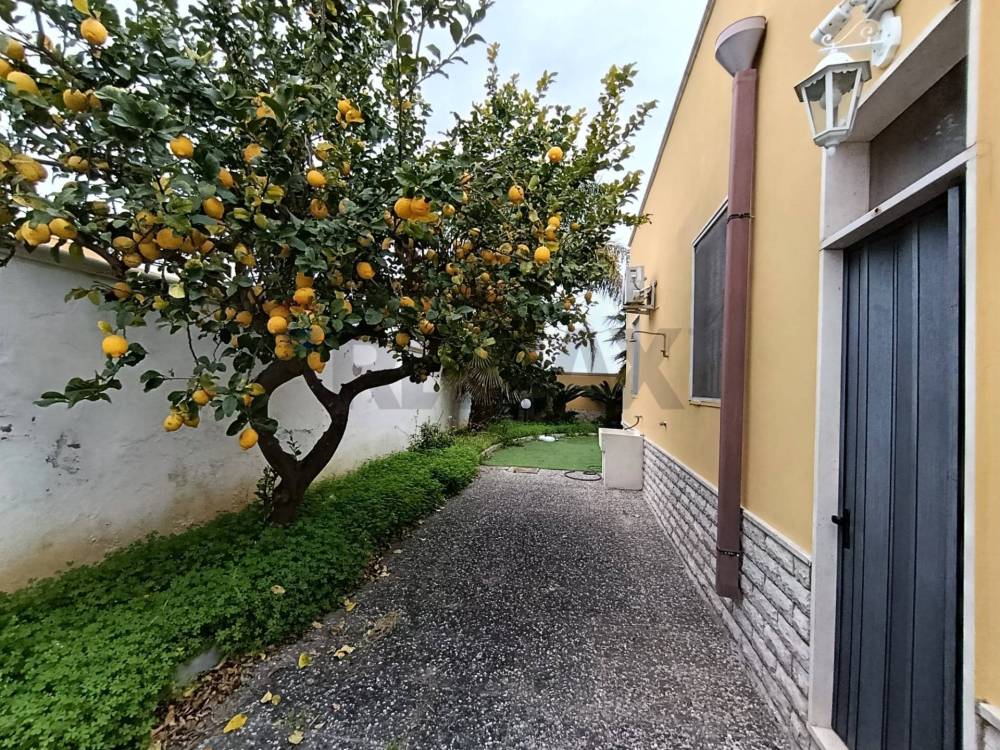 immagine annuncio 4 di 13