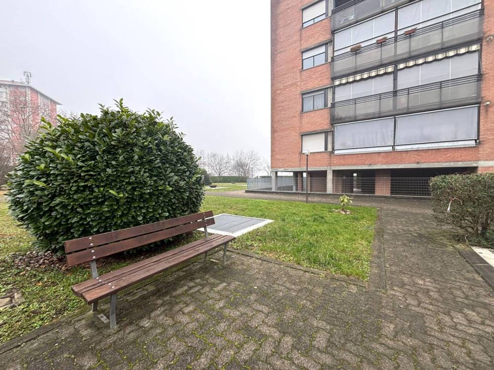 immagine annuncio 1 di 13