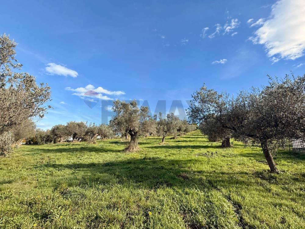 immagine annuncio 3 di 9