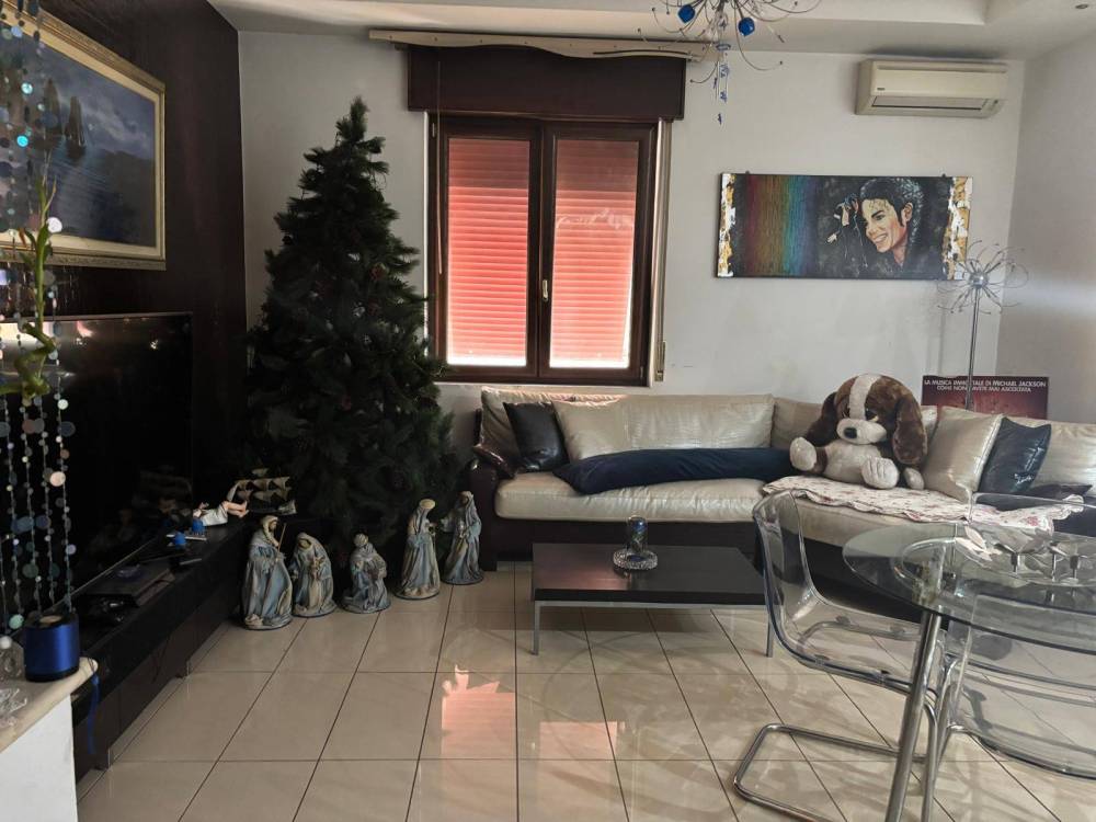 immagine annuncio 6 di 12