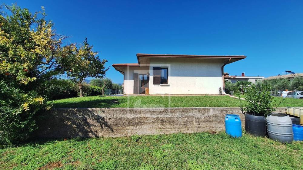 immagine annuncio 2 di 13