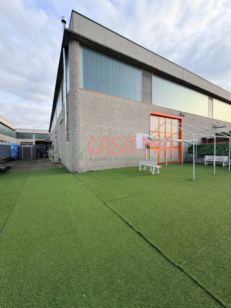 immagine annuncio 3 di 13