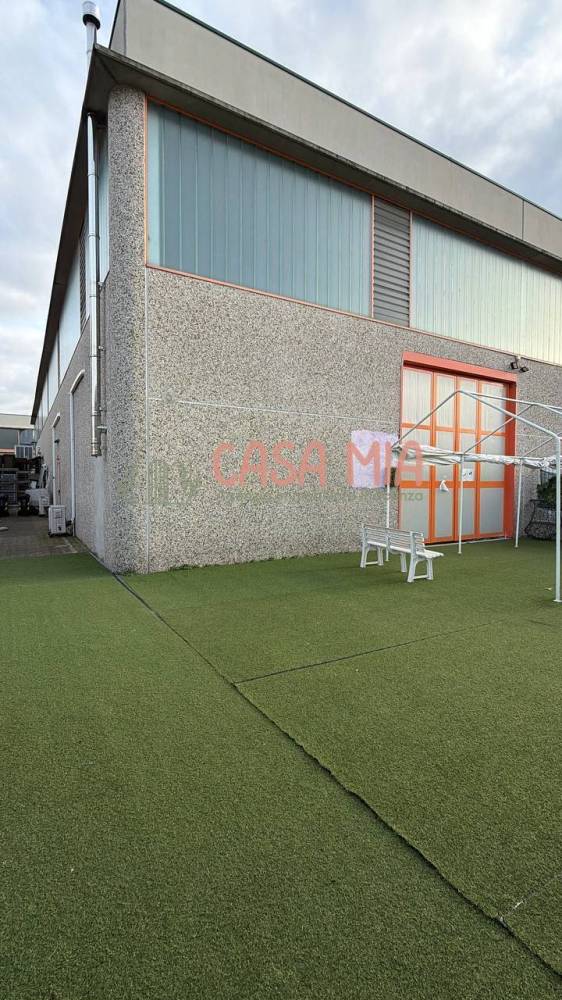 immagine annuncio 5 di 13