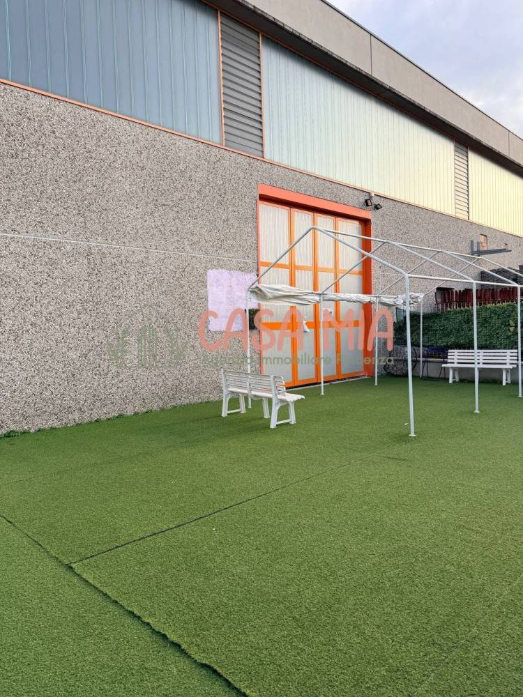 immagine annuncio 6 di 13