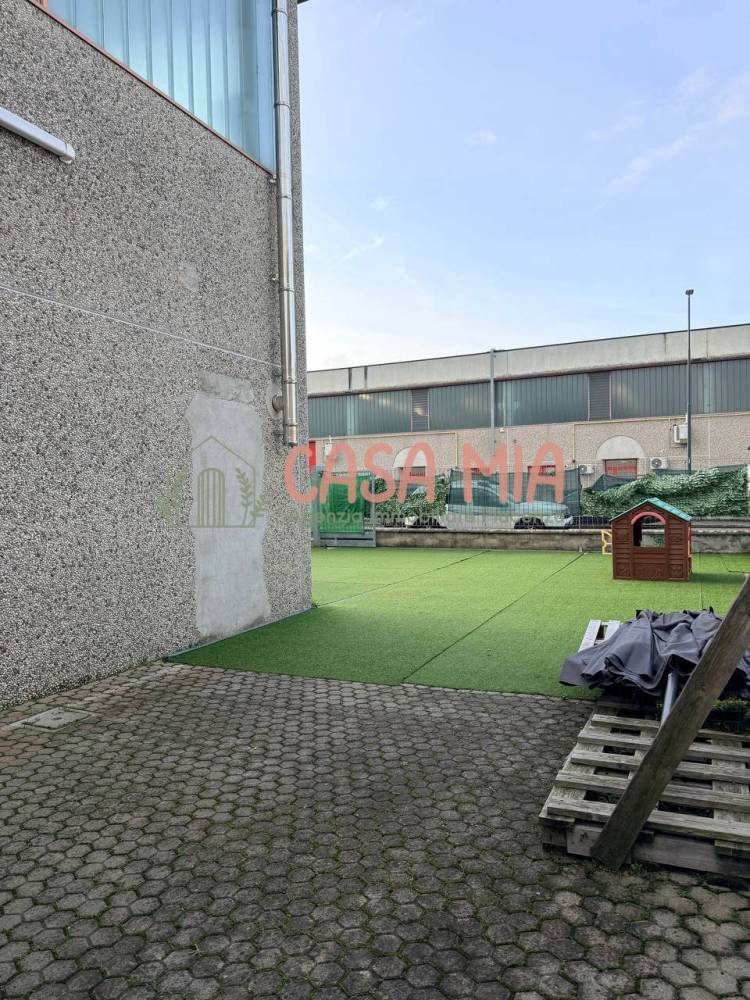 immagine annuncio 9 di 13