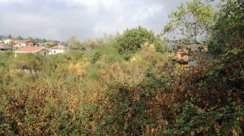 immagine annuncio 4 di 6