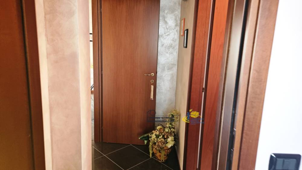 immagine annuncio 9 di 13