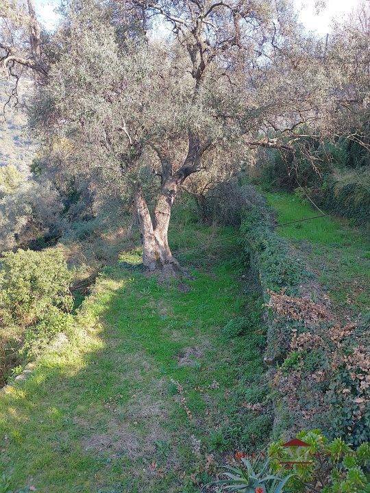 immagine annuncio 7 di 9