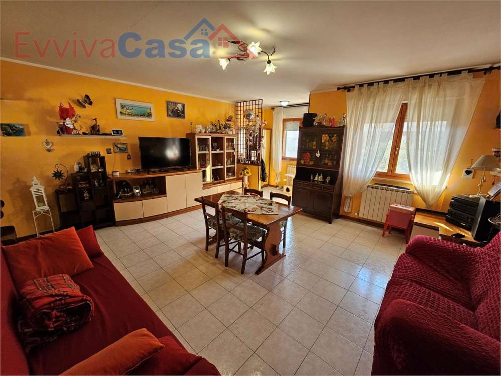 immagine annuncio 6 di 13