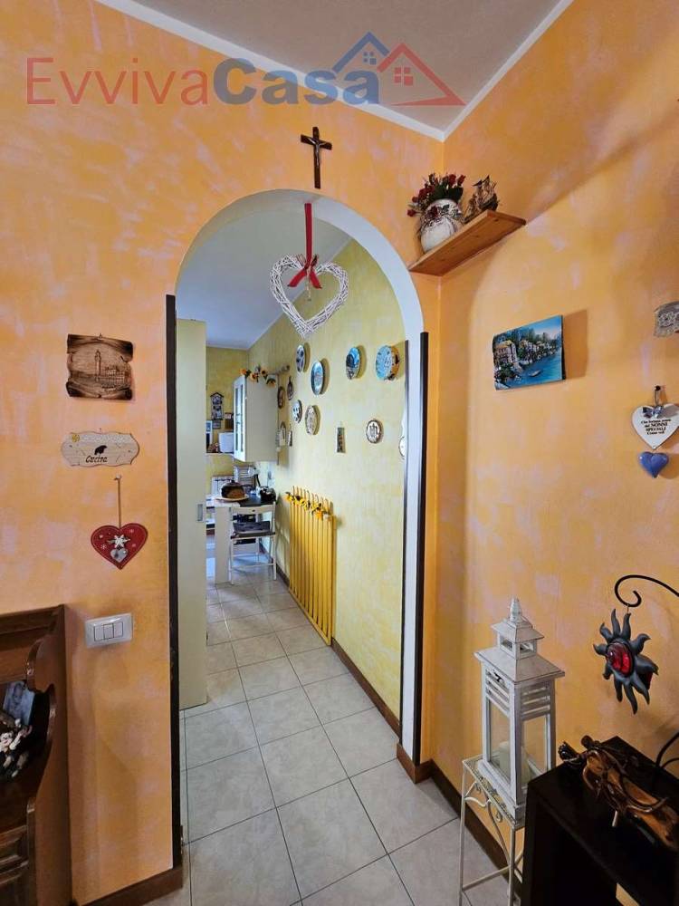 immagine annuncio 7 di 13