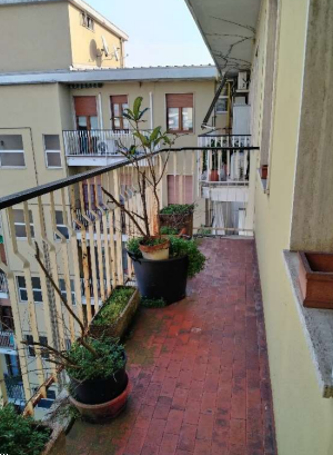 immagine annuncio 2 di 13