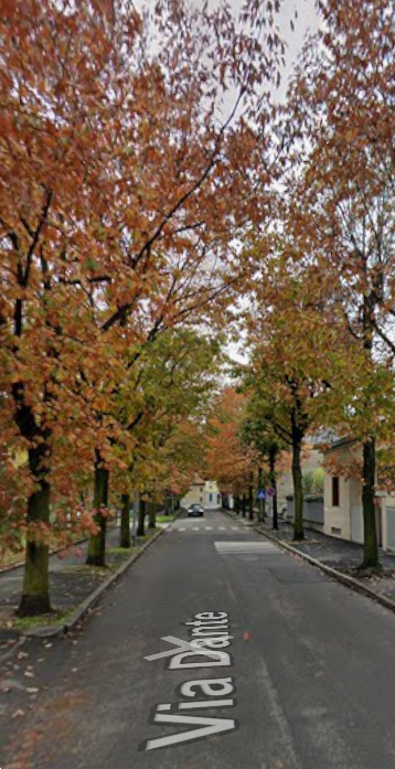 immagine annuncio 3 di 13