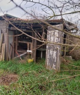 immagine annuncio 3 di 13