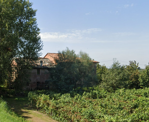 immagine annuncio 7 di 13