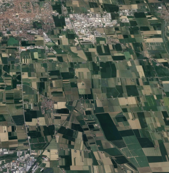 immagine annuncio 12 di 13