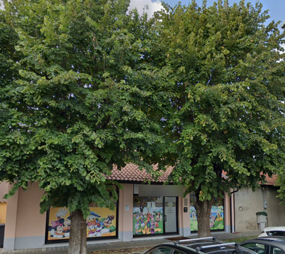 immagine annuncio 1 di 12