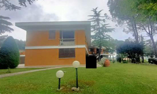 immagine annuncio 10 di 13