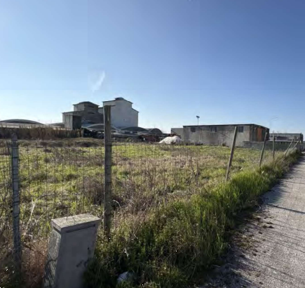 immagine annuncio 5 di 11